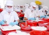Xuất khẩu mực, bạch tuộc sang EU tăng 12,5%