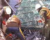 Chile: Xuất khẩu thủy sản tăng