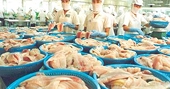 Xuất khẩu cá tra sang Mỹ và Nga đều giảm