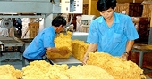 Chính thức miễn thuế xuất khẩu cao su tự nhiên