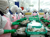 Nhập khẩu thủy sản tăng vọt
