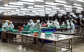 Thêm nhiều DN thủy sản được phép xuất khẩu vào Nga
