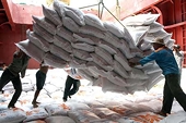 Gạo Việt thua đau: Philippines “nắm thóp” chiêu thắng thầu giá rẻ!