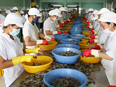 Thủy sản Việt vào Liên bang Nga: Dễ mà khó - Kỳ I