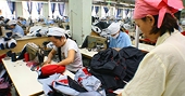FTA và sự lựa chọn của doanh nghiệp