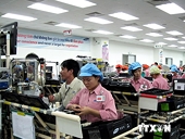 Triển khai nhiều biện pháp thúc đẩy thương mại Việt Nam-Brazil