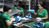 Doanh nghiệp xuất khẩu: Bươn chải thị trường xa