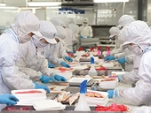 Nhập khẩu thủy sản tăng vọt