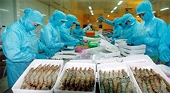 Mỹ áp thuế 32 doanh nghiệp xuất khẩu tôm VN