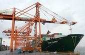 WTO hạ dự báo tăng trưởng thương mại thế giới xuống 3,1%