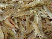 DOC Hoa Kỳ công bố kết quả cuối cùng thuế CBPG (POR8) đối với tôm VN
