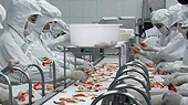 Nhiều cơ hội xuất khẩu vào thị trường UAE
