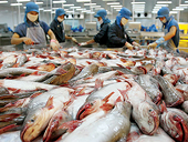 Việt Nam sẽ tham gia Hệ thống cấp chứng thư cho thủy sản sang EU