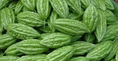 Việt Nam tạm ngừng làm thủ tục xuất khẩu 5 loại rau gia vị