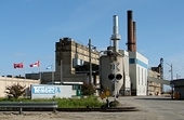 Canada kiện Trung Quốc về thuế chống bán phá giá bột giấy