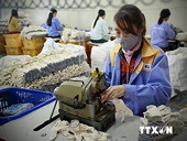 Có tới 76% doanh nghiệp không biết về cộng đồng kinh tế ASEAN