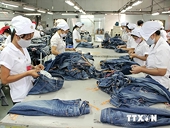 Hàng Việt nhập khẩu vào Canada tăng trưởng 17% mỗi năm