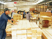 Xuất khẩu gỗ không lo thiếu đơn hàng