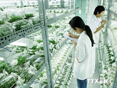 Năm 2015 - Nông nghiệp bước vào “cuộc chiến” chất lượng
