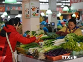 Các bộ trưởng APEC thảo luận các bước đi mới để tiến tới FTAAP