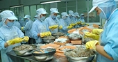 Việt Nam dẫn đầu ASEAN xuất khẩu vào Mỹ: Lượng nhiều, chất ít!