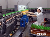 Coi thu hút FDI là động lực quan trọng trong phát triển kinh tế