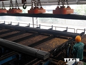 Doanh nghiệp Việt Nam cần chủ động PVTM