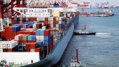 TPP lại chờ đến năm sau