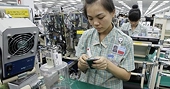 100% dòng thuế sẽ về 0% khi TTP ký kết