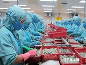 WTO đưa phán quyết với 7 nội dung có lợi cho tôm Việt Nam
