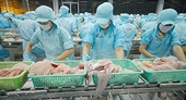 EU, Hàn Quốc cảnh báo cá tra
