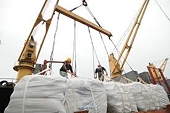 Đẩy mạnh xuất khẩu gạo sang thị trường châu Phi, Tây Á, Nam Á