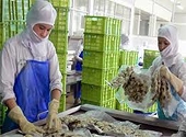 Gia hạn số đăng kí xuất khẩu nông sản vào Mỹ