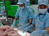 Năm 2015, xuất khẩu thủy sản dự báo đạt 8 tỷ USD