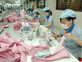 Năm 2015: Nhiều cơ hội mới