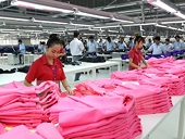 Tiếp tục lộ trình thuế quan FTA 2015-2018: Cơ hội và thách thức
