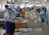 TPP và RCEP - cơ hội thúc đẩy đầu tư ở Việt Nam
