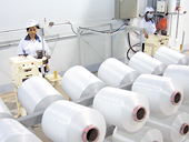Xuất khẩu sang Thổ Nhĩ Kỳ gặp trở ngại