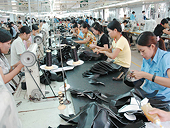 Hiệp định Đối tác xuyên Thái Bình Dương (TPP): Lợi ích đa chiều (Kỳ II)