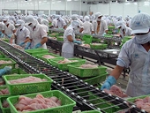 Ách tắc trong xuất khẩu cá tra sang Brazil