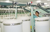  Doanh nghiệp hội nhập từ những chuẩn bị cụ thể