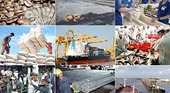 Quan hệ thương mại Việt Nam - Đức 2 tháng đầu năm 2015