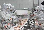 Thủy sản sang Nga không như kỳ vọng