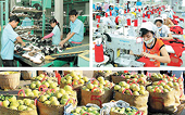 New York Times: Việt Nam cần phải gia nhập TPP