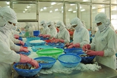 Thủy sản hội nhập 2015: Cơ hội và thách thức