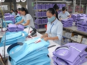 Nghị viện EU đánh giá mức độ sẵn sàng của Việt Nam trong ký FTA