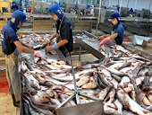 Những ảnh hưởng chính trị trong phán quyết CBPG của EU và US