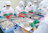Phương pháp tính thuế CBPG cho nền KT phi thị trường