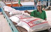 Các quy định của WTO về các rào cản kỹ thuật đối với thương mại