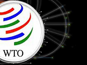 Thiện chí trong giải quyết tranh chấp WTO
